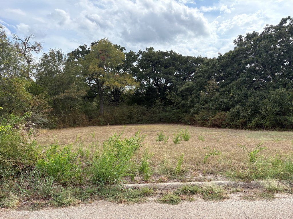 Picture 2