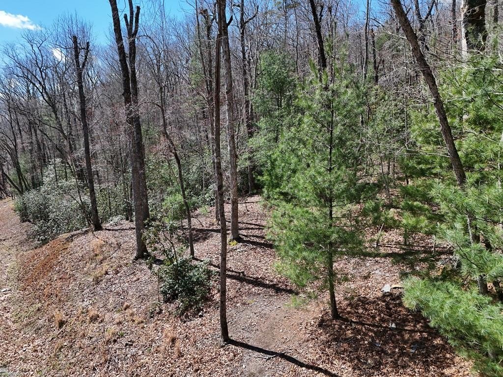 Blue Ridge Mountain Homesite