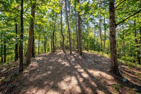 Residential Land in Little Rock