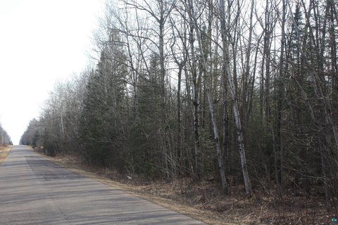 Heavily Wooded Recreation Land Lot