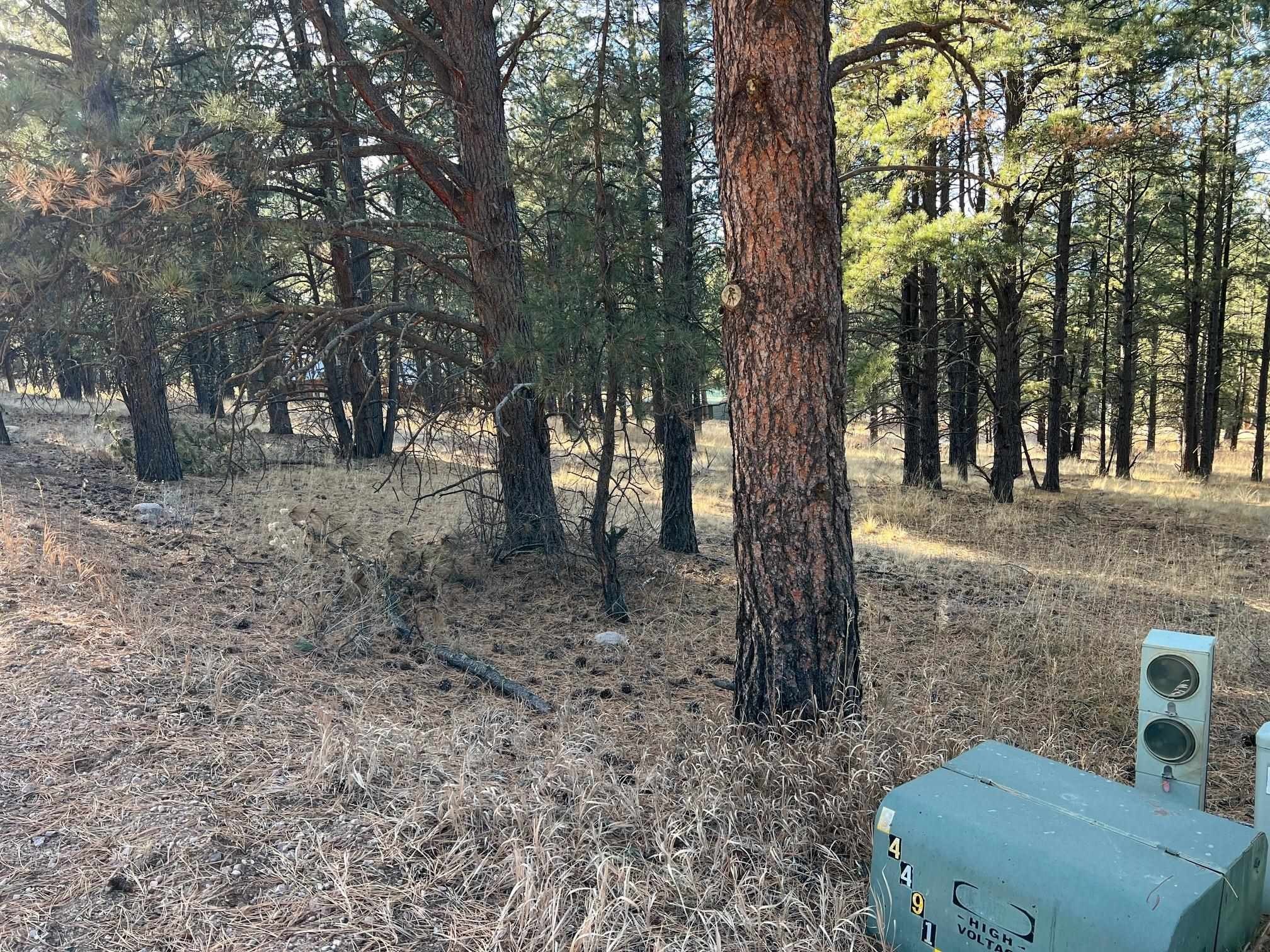 Land Near Chili Express