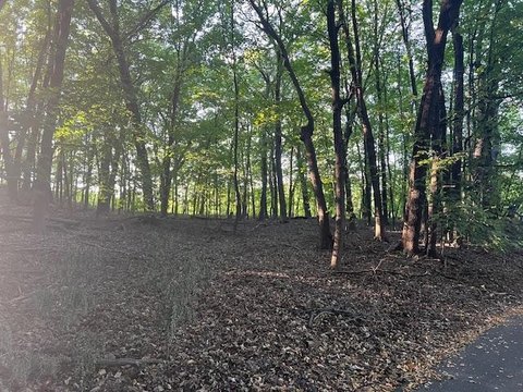 Land in Christmas Lake Area