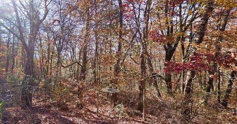 LAND - Signal Mountain, TN