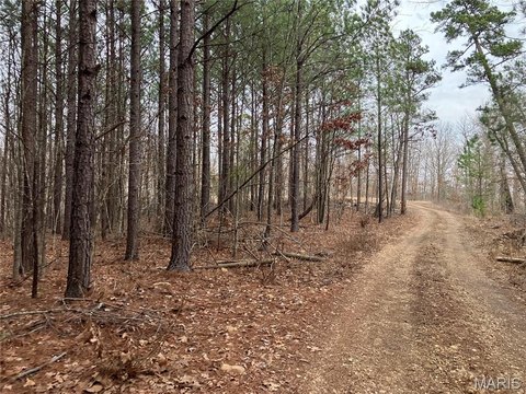 LAND - Fredericktown, MO