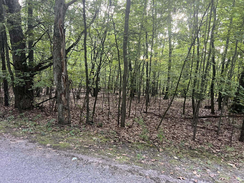 Picture 4