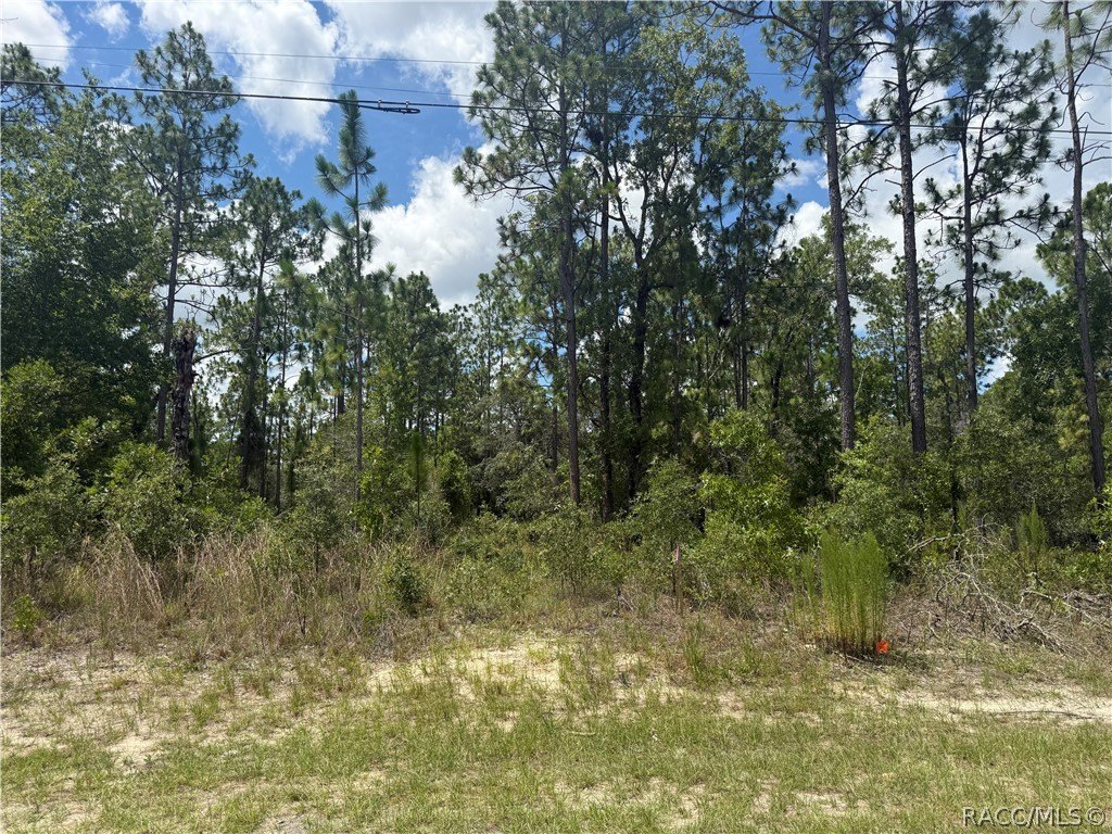 Picture 6