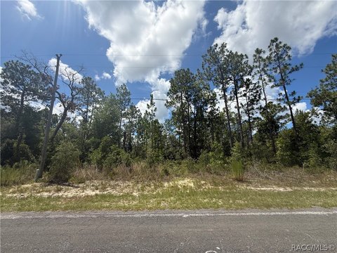 LAND - Citrus Springs, FL