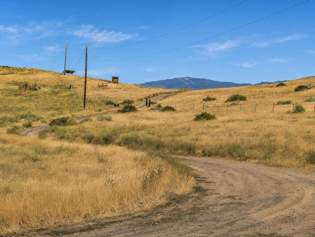 Picture 20