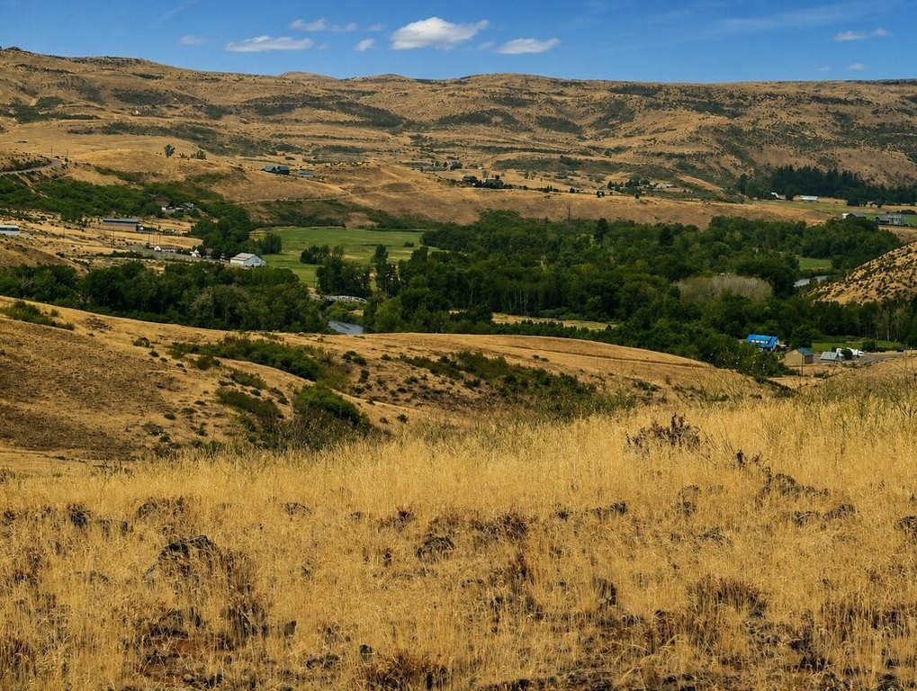 Picture 19