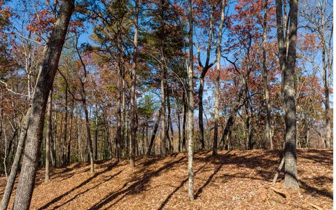 Buildable Ridge-Top View Home Lot