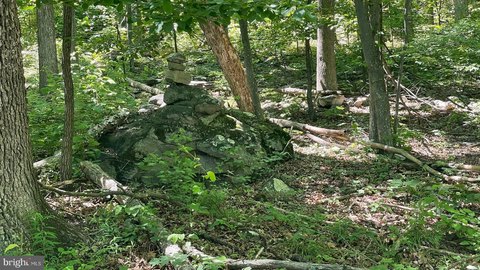 LAND - BLOOMERY, WV