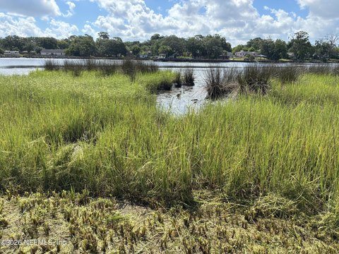 Riverfront Residential Land