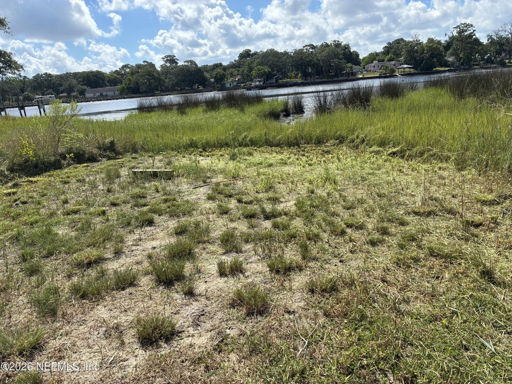 Picture 5