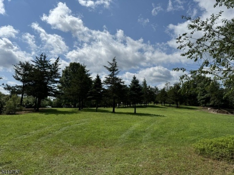 Picture 4