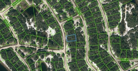 Land For Sale Lake Placid