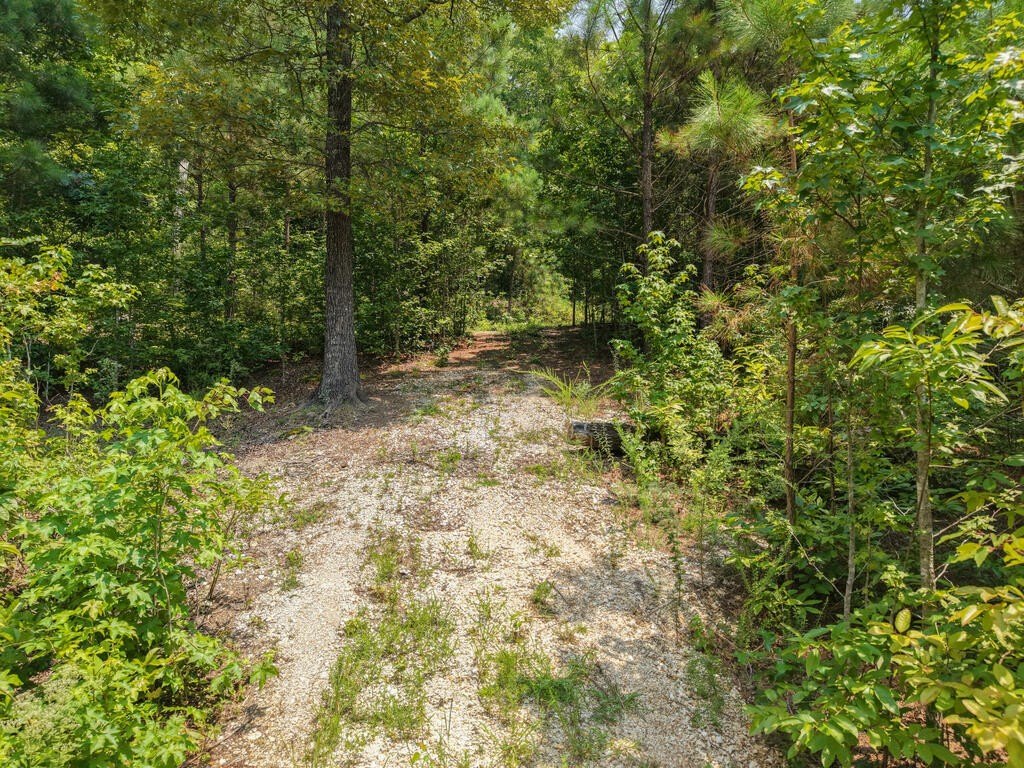 Picture 5