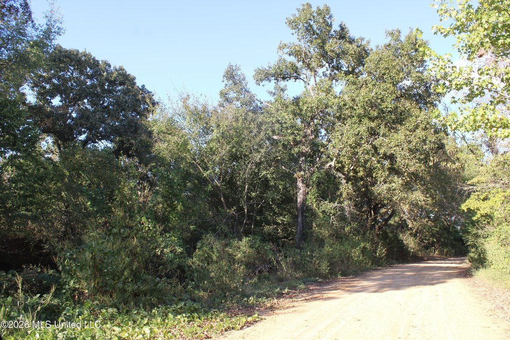 Picture 17