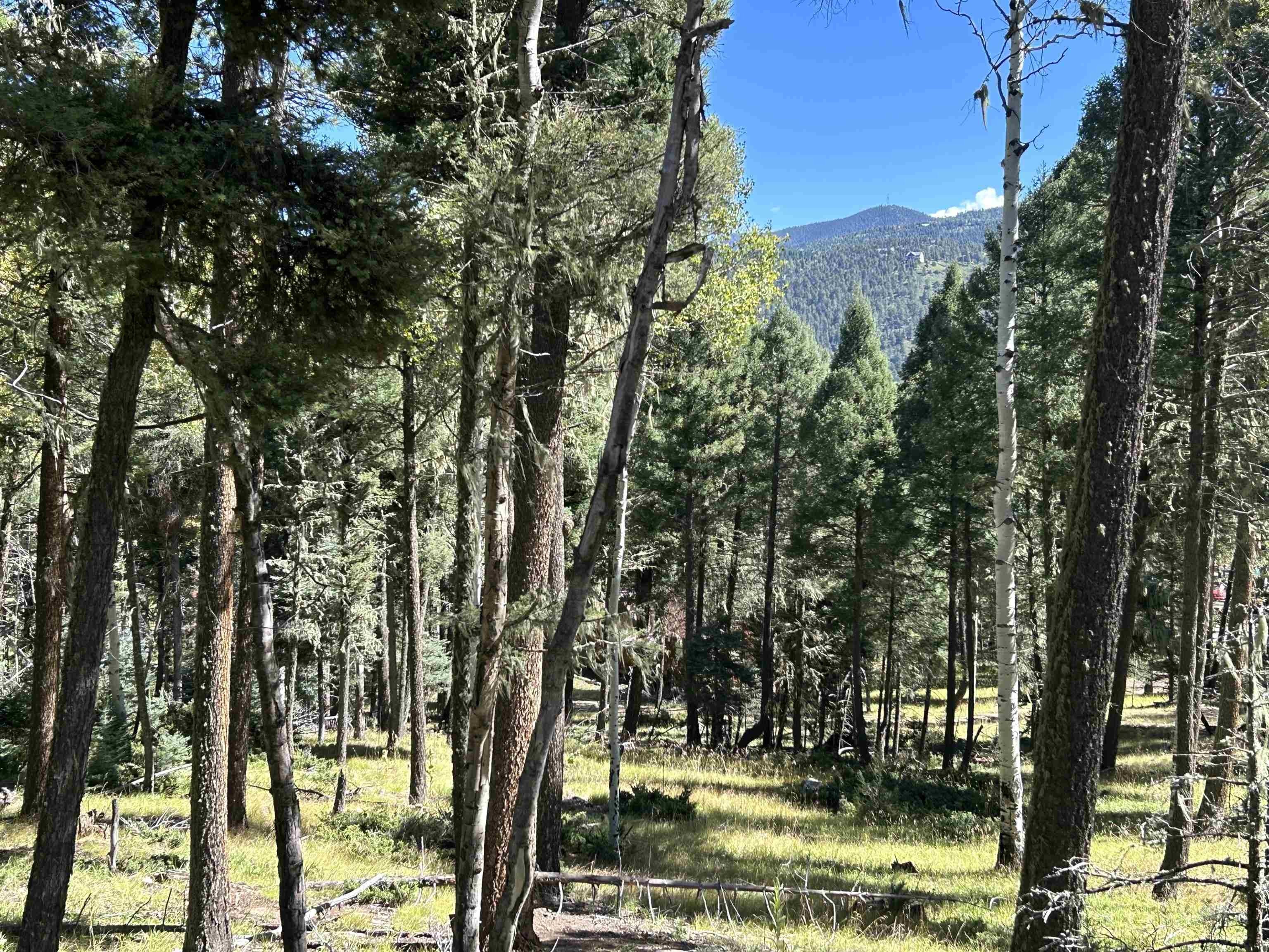 Land Near Angel Fire Resort