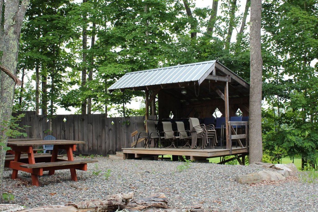 Picture 8