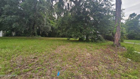 LAND - Brunswick, GA