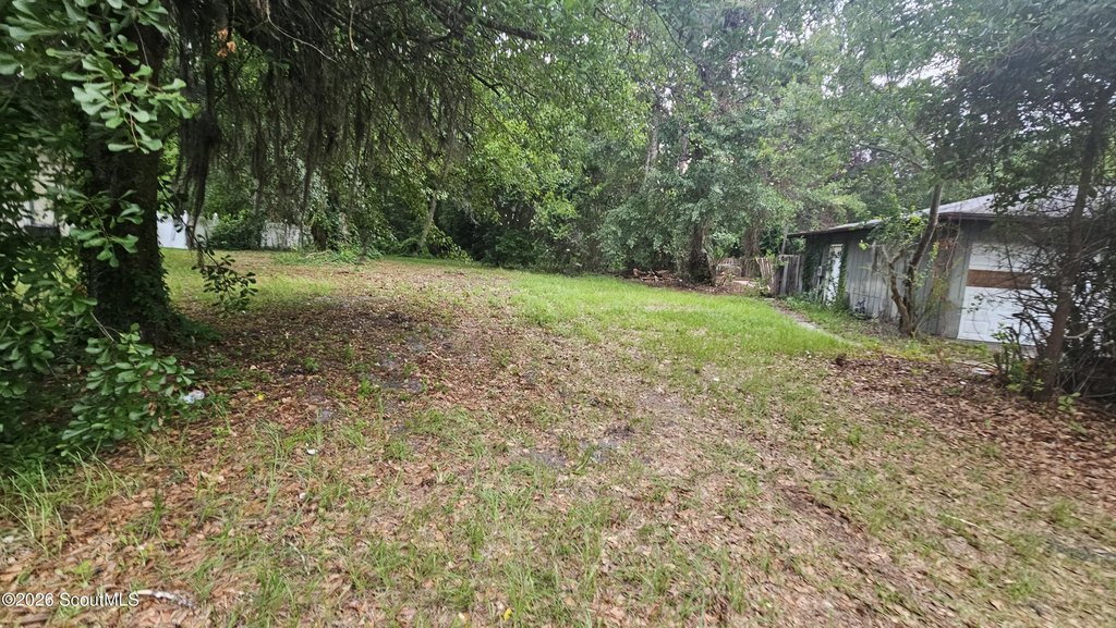 Picture 3