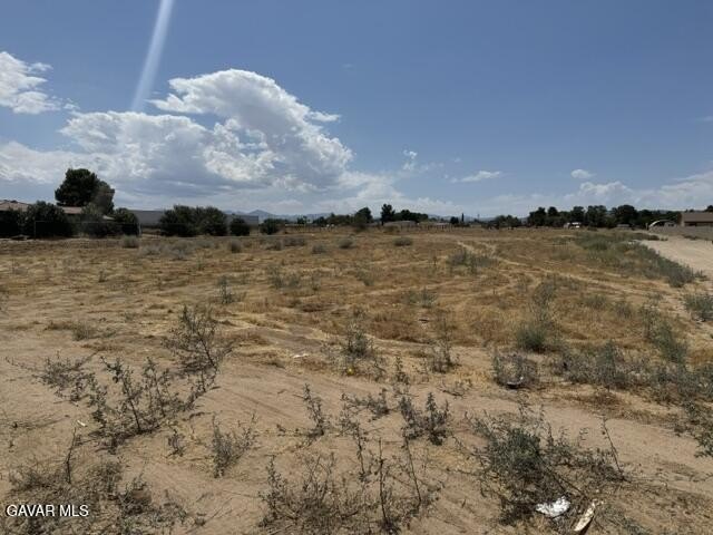 Picture 14