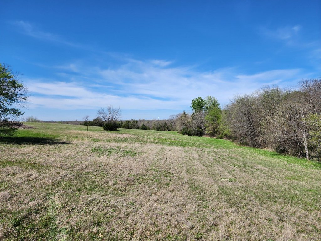 Picture 4