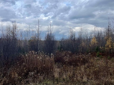 Untouched Land in Mountain Heart