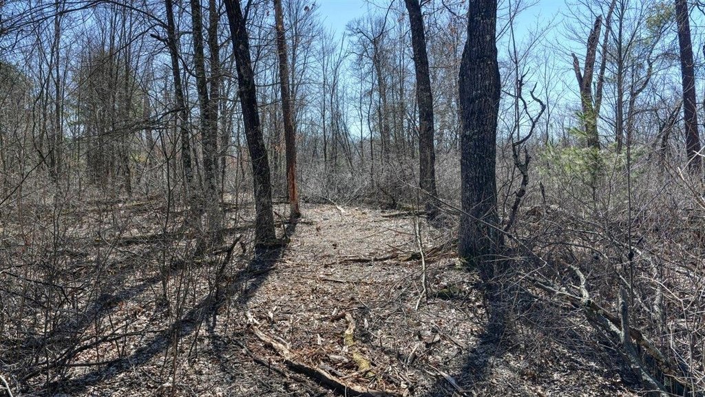 Picture 13