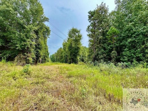 40 Acres Hunting/Recreation Land