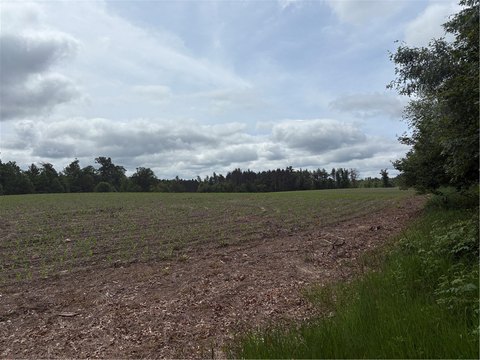 80 Acres of Recreational Land