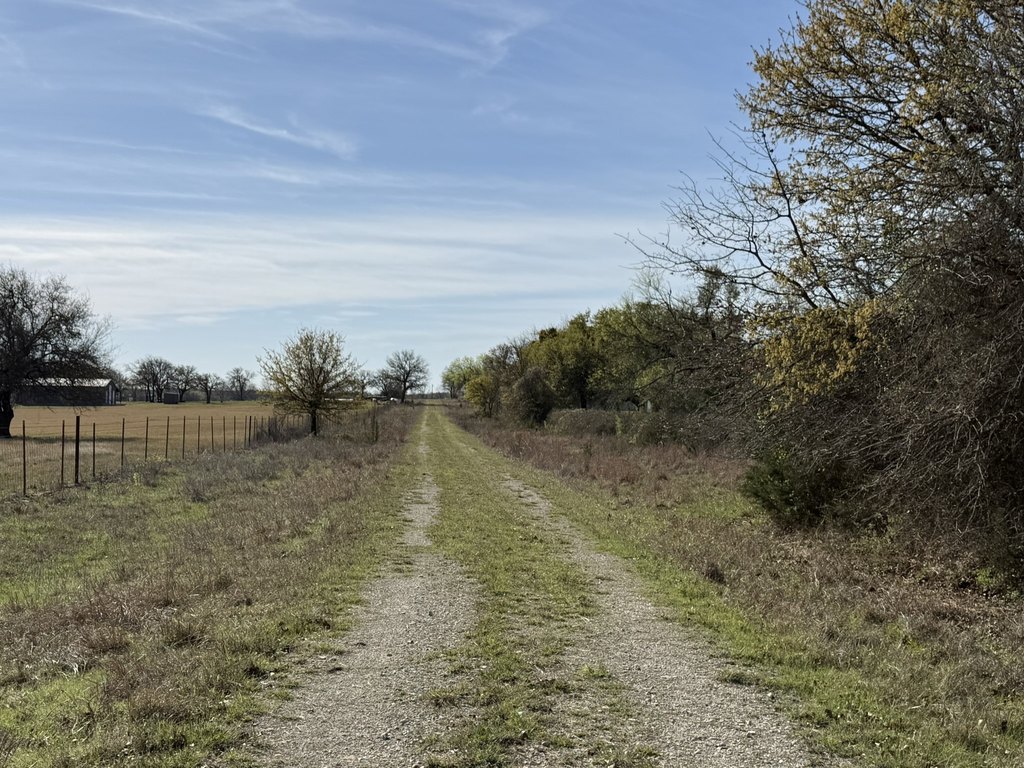 Picture 6
