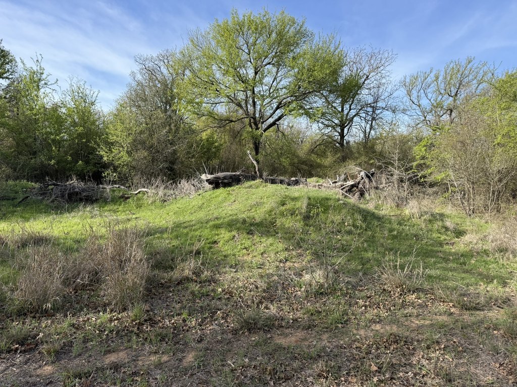 Picture 11