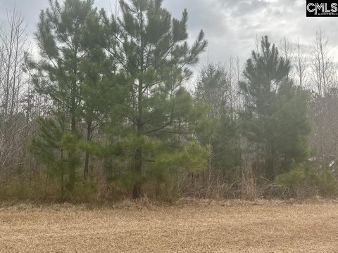 Salters, SC - 2.38 Acres