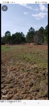 40 Acres in Choctaw County