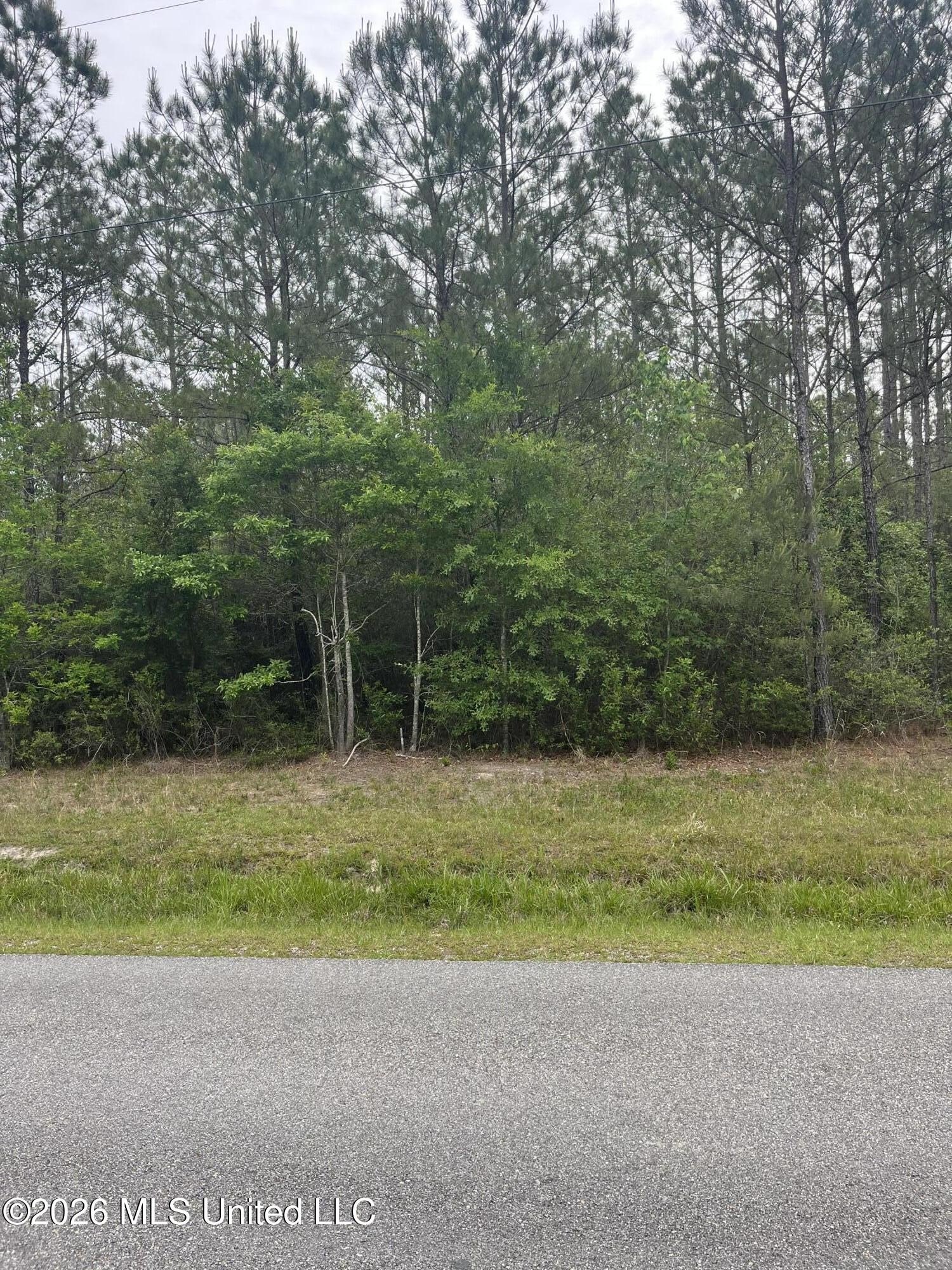 Picayune Land with Community Water