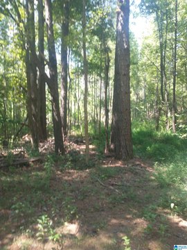 LAND/LOTS, WEOGUFKA, AL