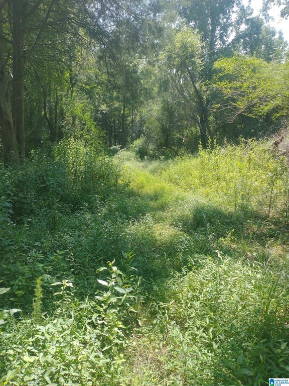 Picture 17