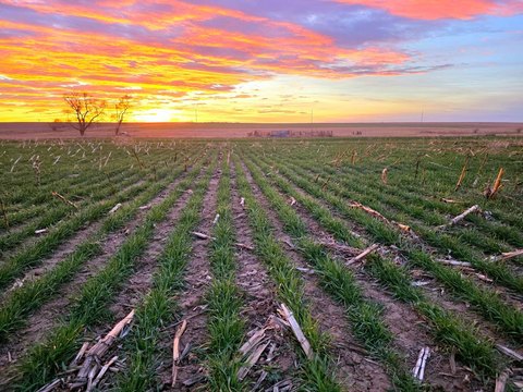 Productive Cropland and Pasture Section