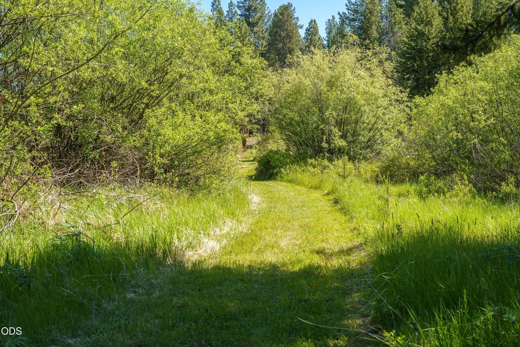 Picture 35
