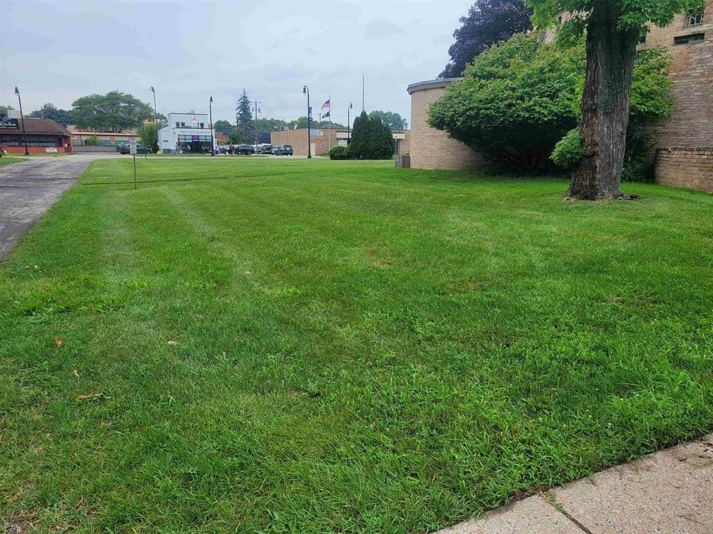 Picture 5