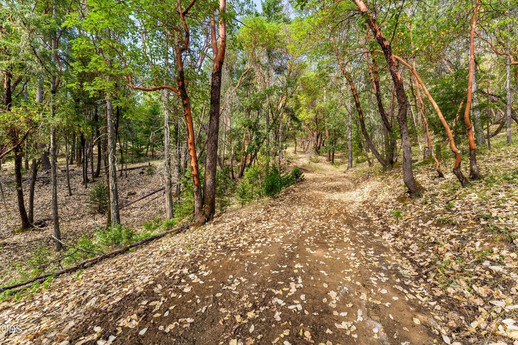 Picture 8