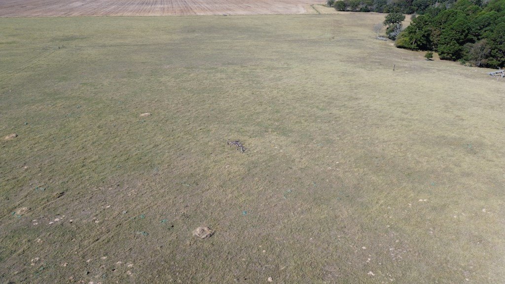 Picture 11