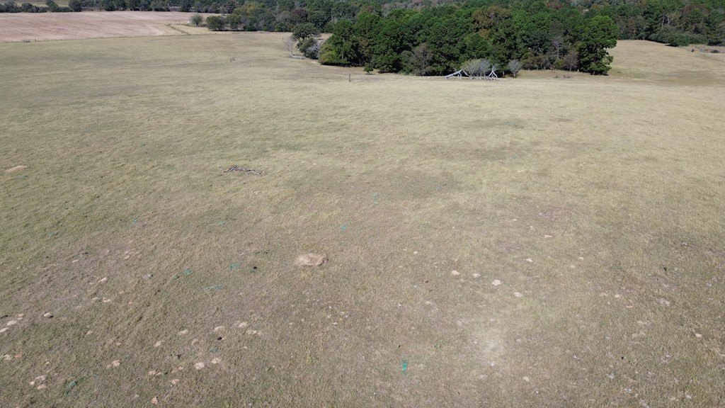 Picture 25