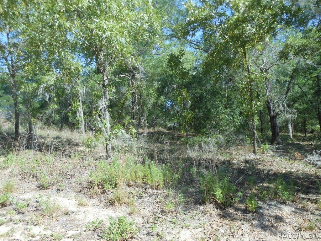 Inverness, FL Treed Corner Lot