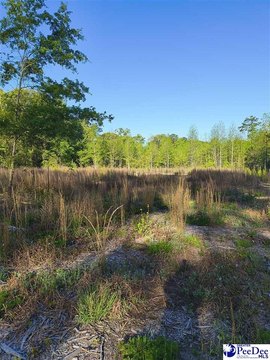 LAND - Hartsville, SC