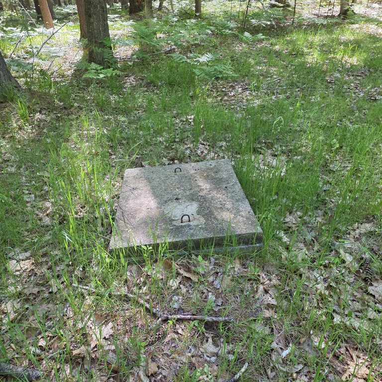 Picture 6
