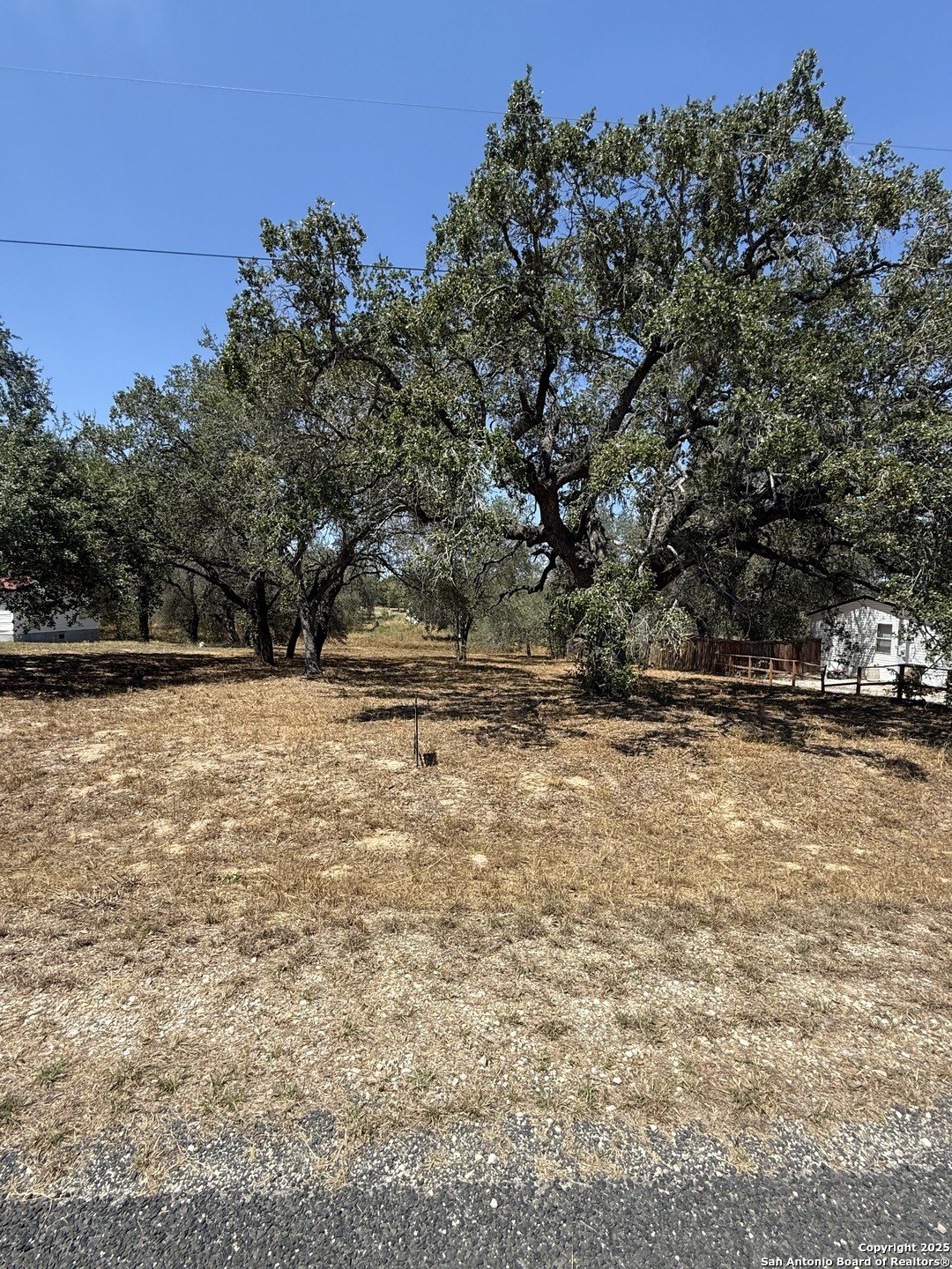 Residential Lot with Mature Trees