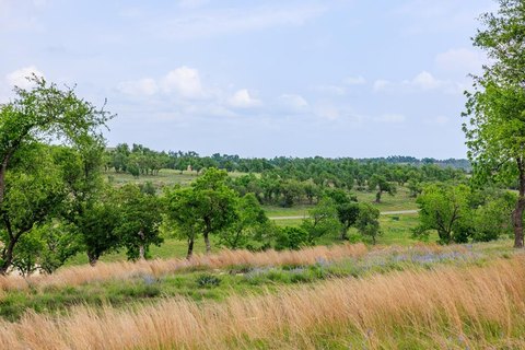 Texas Hill Country Land