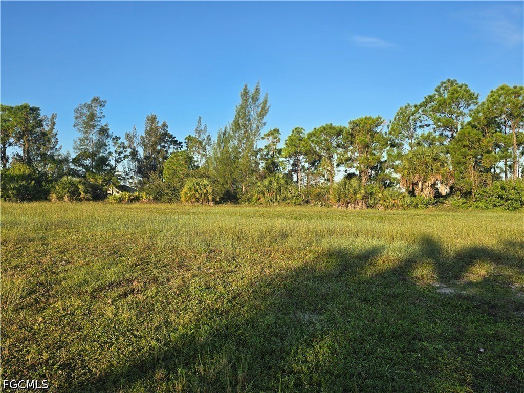 Picture 6